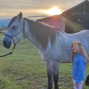 Meet your Posher, Lindsay